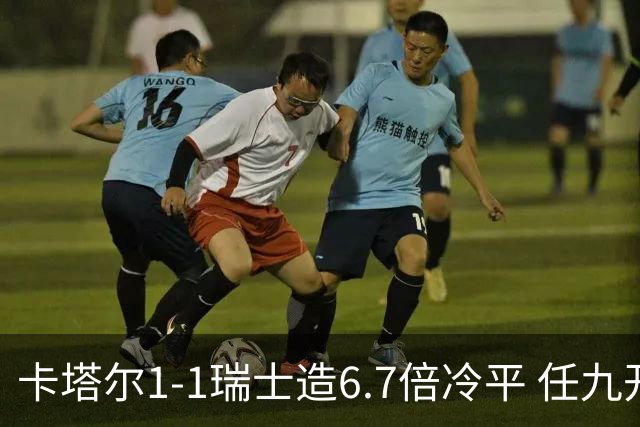 卡塔尔1-1瑞士造6.7倍冷平 任九开53注25.3万元