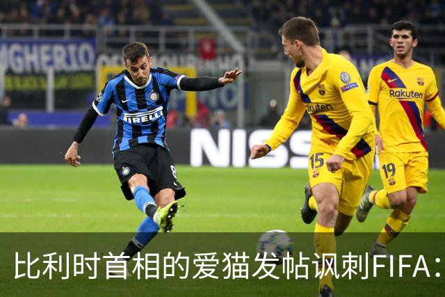 比利时首相的爱猫发帖讽刺FIFA：“红牌？”我照样继续踢！